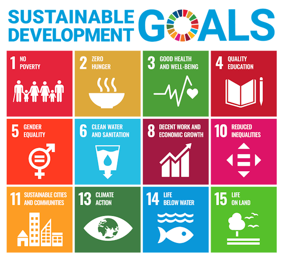 Sustainable Development Goals by the United Nations