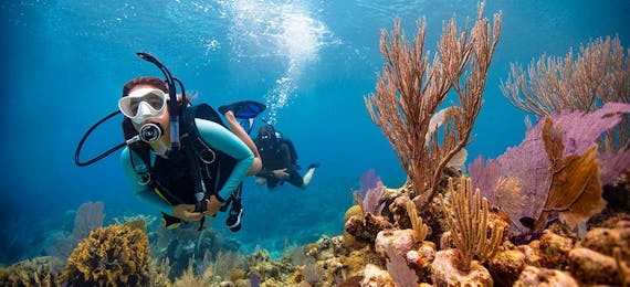 PADI Divemaster Certification (4 weeks minimum stay)
