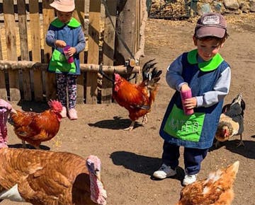 IVHQ Argentina volunteer Animal Care project