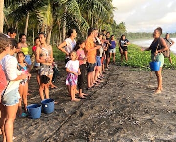 IVHQ Turtle Conservation project in Costa Rica