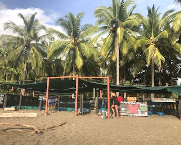 IVHQ Turtle Conservation project location in Costa Rica