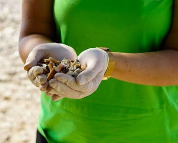 Beach cleanup in Croatia with IVHQ