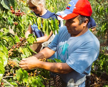 Volunteering on the Eco-Agriculture project in Guatemala