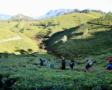 Trekking in Kerala, India with IVHQ