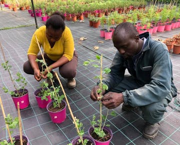 IVHQ volunteers planting a garden on the Sustainable Farming project in Rome, Italy