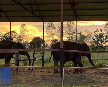IVHQ Elephant Sanctuary Project in Nepal