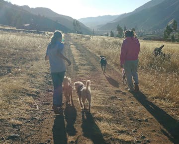 IVHQ volunteers on Animal Care project in Cusco, Peru
