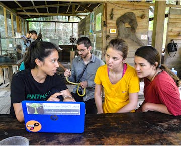 Amazon Jungle Conservation volunteer project in Cusco, Peru with IVHQ