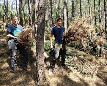 IVHQ volunteering on the Forest Conservation project in Lisbon, Portugal