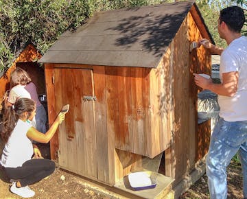 Volunteer in Animal Care in Portugal with IVHQ