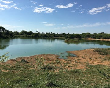 Wildlife Conservation Olifants river in Kruger National Park, South Africa with IVHQ