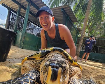 Turtle Conservation project in Sri Lanka with IVHQ
