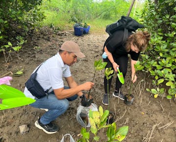 IVHQ volunteers on the Thailand Hua Hin Environmental Conservation project