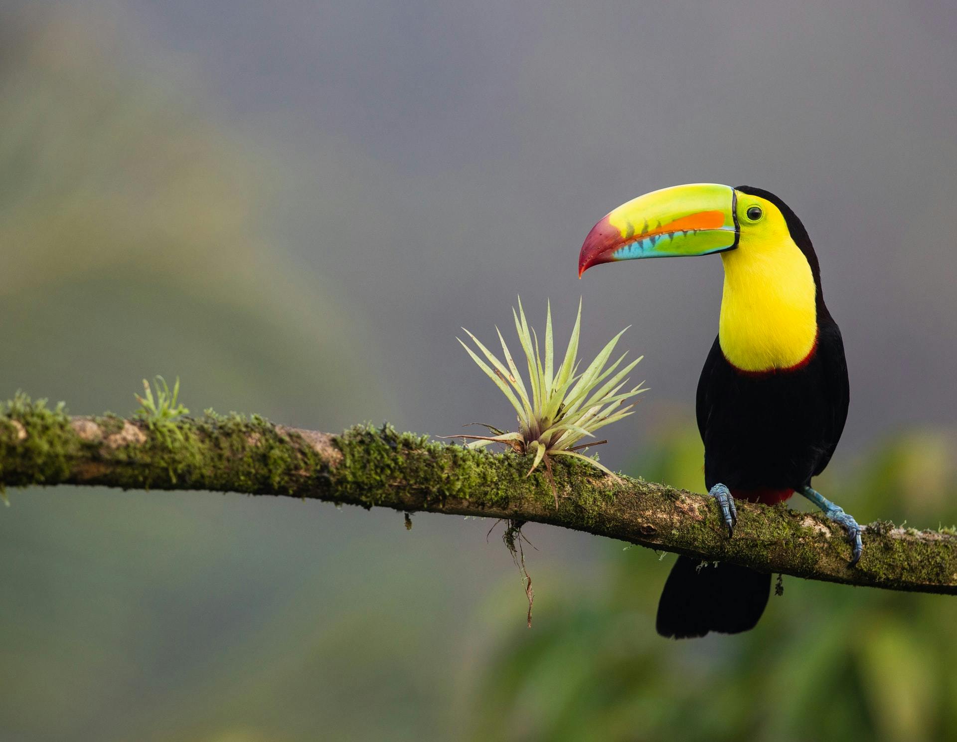 Volunteering in Central America with IVHQ
