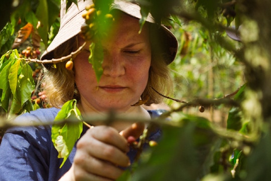Eco-Agriculture volunteers in Guatemala with IVHQ