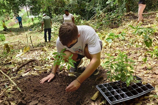 Sustainable Agriculture volunteer project in Jamaica with IVHQ