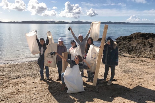 Volunteer on the Coast and Waterway Conservation project in New Zealand with IVHQ