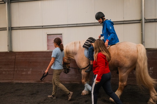 Volunteer on the Therapeutic Horse Care project with IVHQ in Portugal
