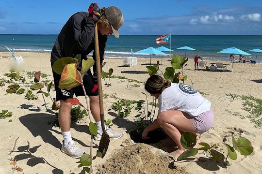 Volunteer on the Environmental Sustainability project in Puerto Rico with IVHQ