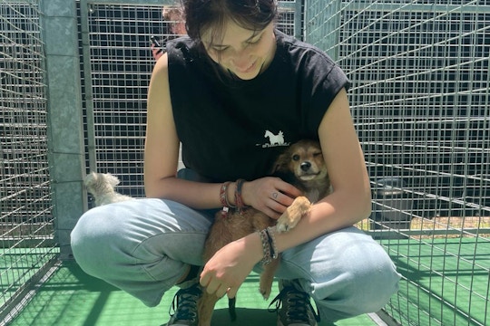 Volunteer on the Animal Care Volunteer Project in Cape Town, South Africa with IVHQ